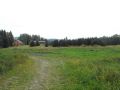 Backyard.JPG