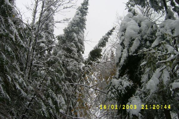 S4200496.JPG