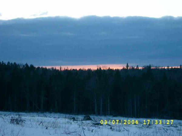S4200619.JPG