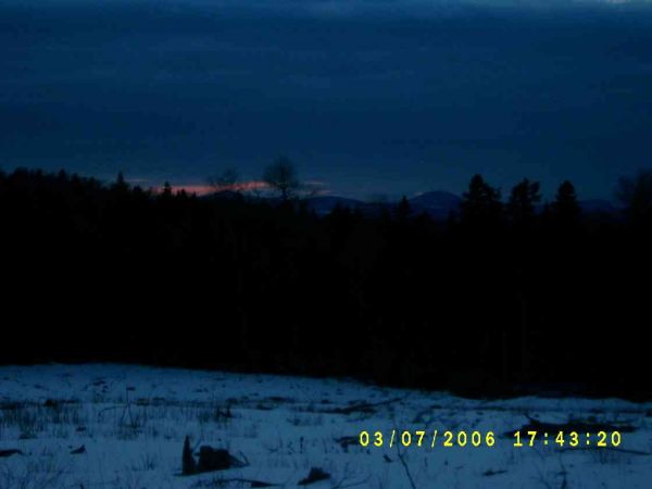S4200623.JPG