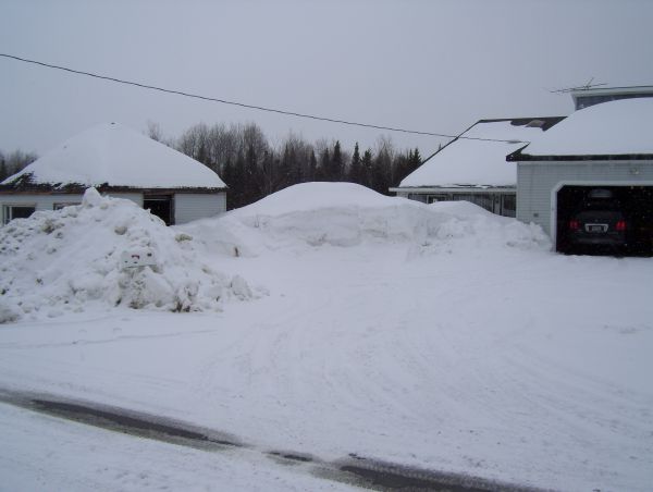 Winter-2008-a.JPG