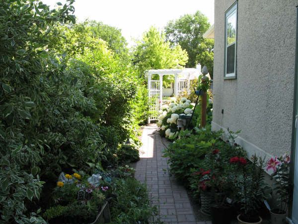 IMG_0054.JPG