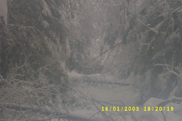 S4200494.JPG