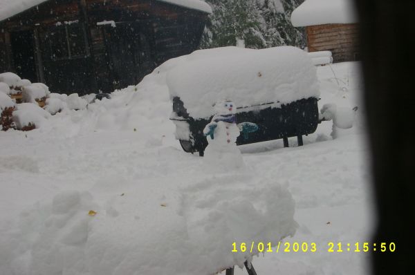 S4200495.JPG