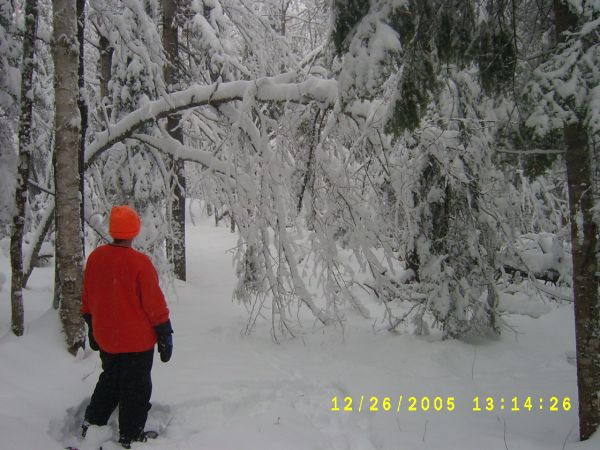 S4200542.JPG