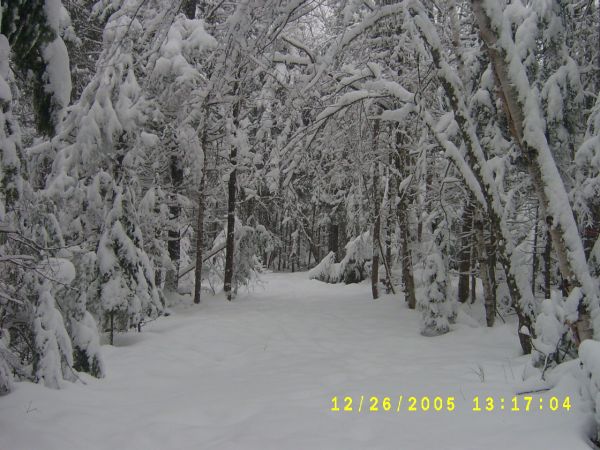 S4200543.JPG