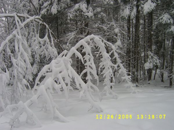 S4200544.JPG
