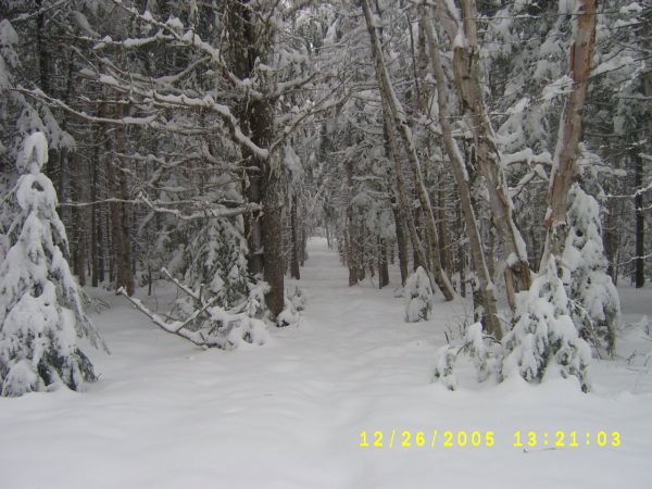 S4200546.JPG