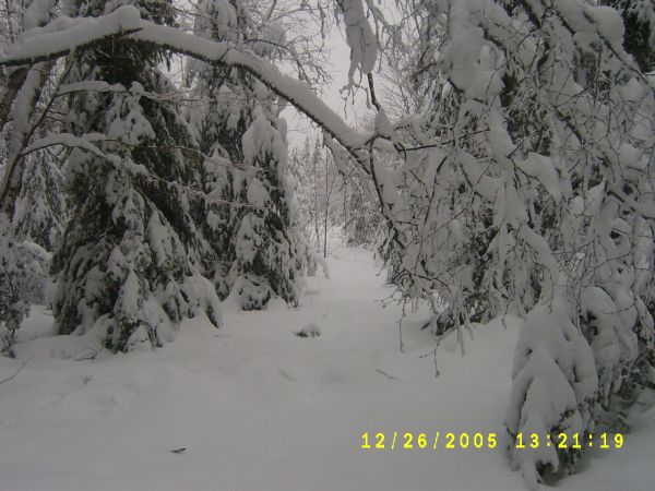 S4200547.JPG