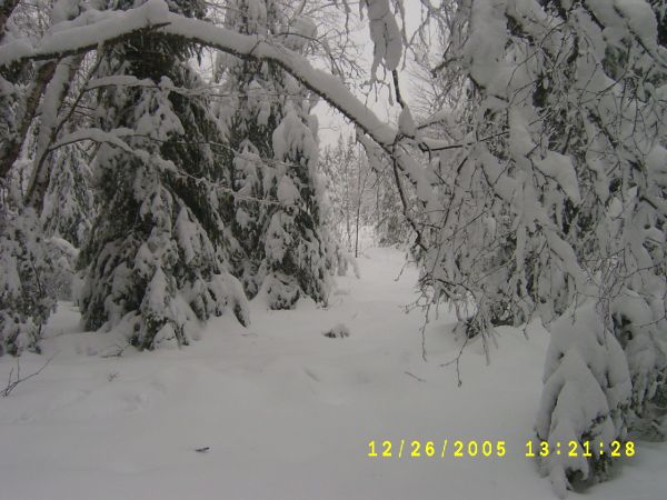 S4200548.JPG