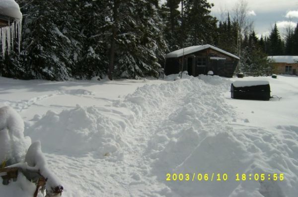 s4200161.jpg
