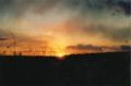 mainesunset.jpg