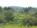Soldier_Pond_Photos
