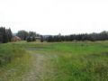 Backyard.JPG